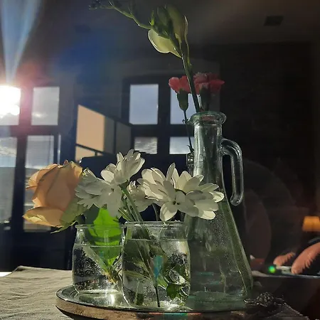 Bydgostia Apartman *