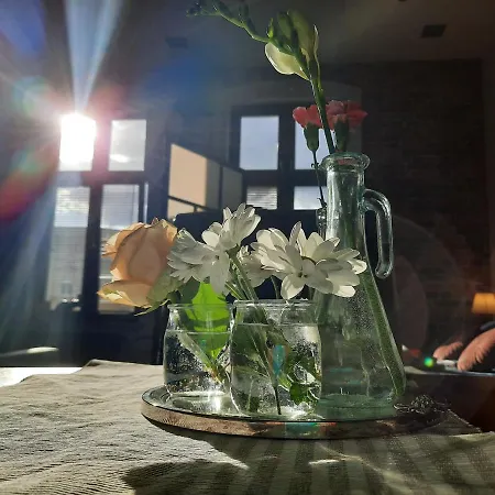 Bydgostia Apartment